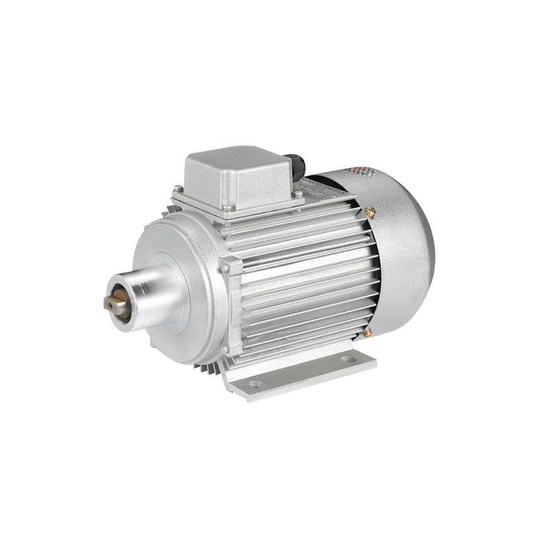 Customized Long Shaft Motor with Extended Life for Thermal Processing Machines