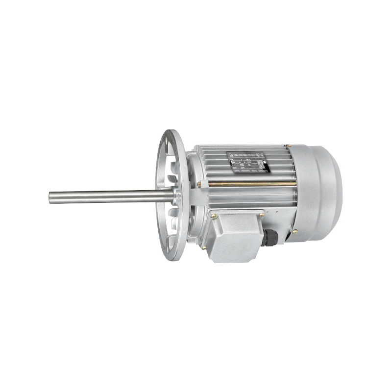 Energy-Efficient Customized Long Shaft Motor