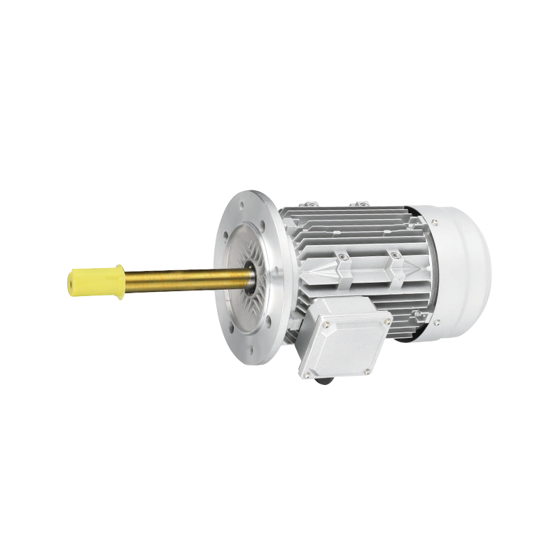 High Temperature Resistant Customized Long Shaft Motor
