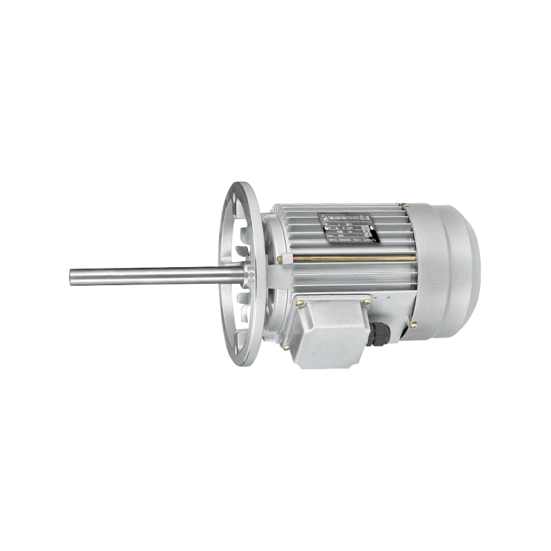 Customized Long Shaft Electric Motor with Enhanced Torque