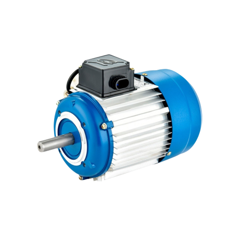 YY Series Capacitor Run Asynchronous Motor