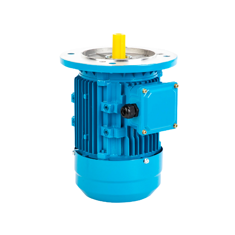 Custom Motor Aluminum Shell Three-Phase Asynchronous Motor