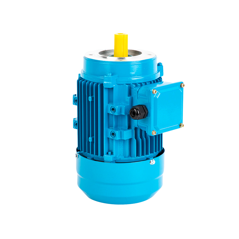 Custom Motor Aluminum Shell Three-Phase Asynchronous Motor