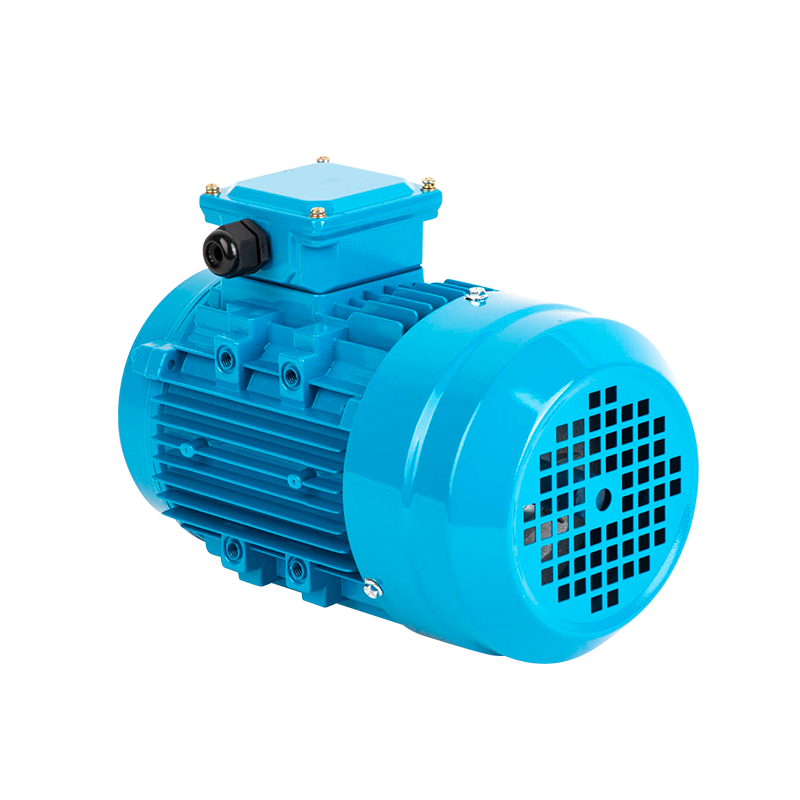 Custom Motor Aluminum Shell Three-Phase Asynchronous Motor