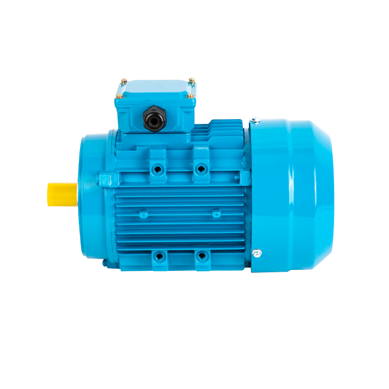 Custom Motor Aluminum Shell Three-Phase Asynchronous Motor