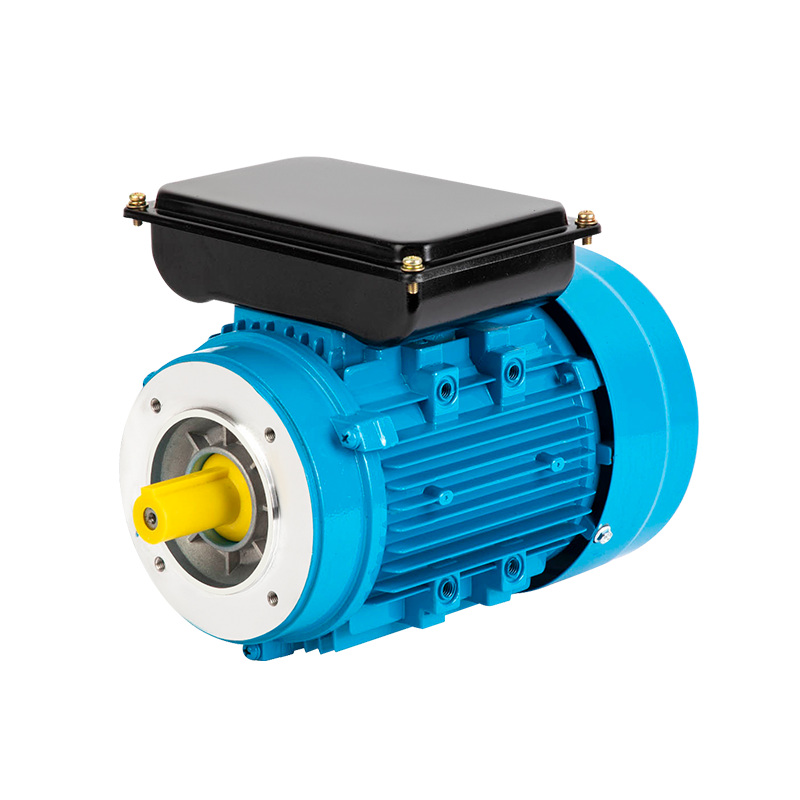 YL Series Double Value Capacitor Asynchronous Motor
