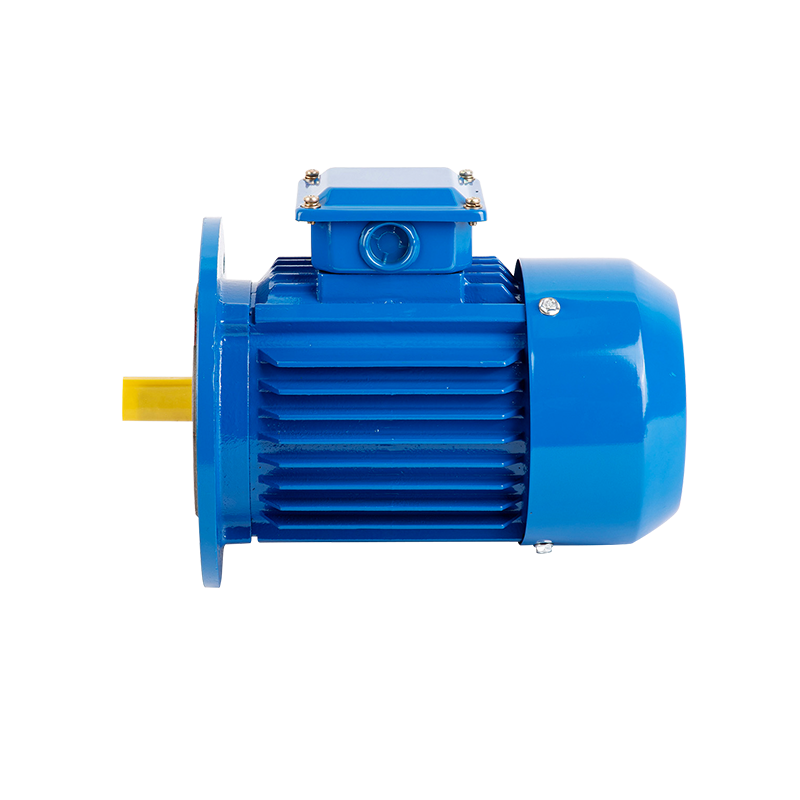 Vacuum Pum Three-Phase Asynchronous Motor