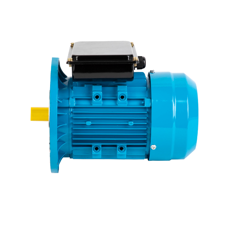 YL Series Double Value Capacitor Asynchronous Motor