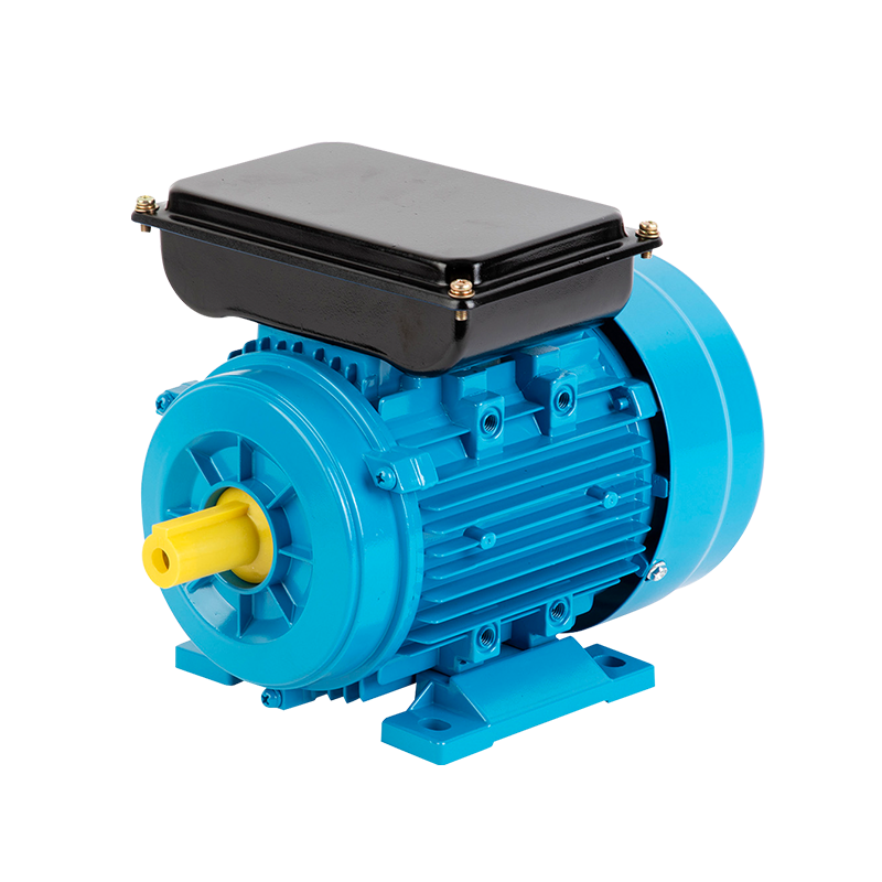 YL Series Double Value Capacitor Asynchronous Motor