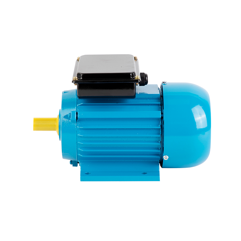 Double Value Capacitor Asynchronous Motor