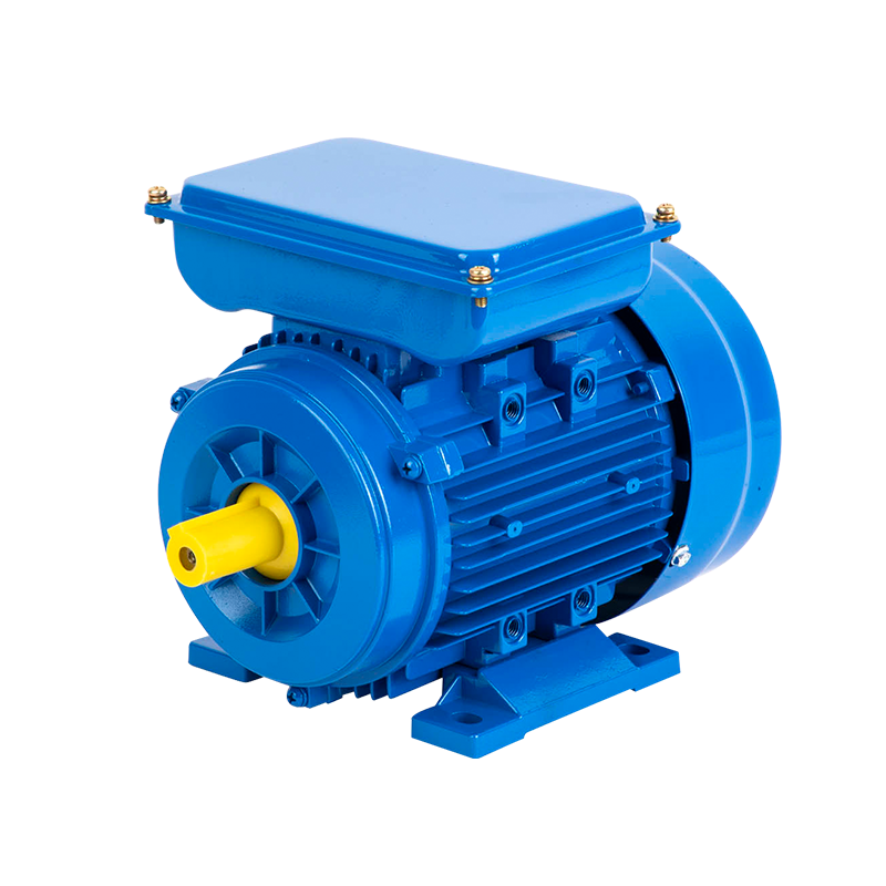 YL Series Double Value Capacitor Asynchronous Motor
