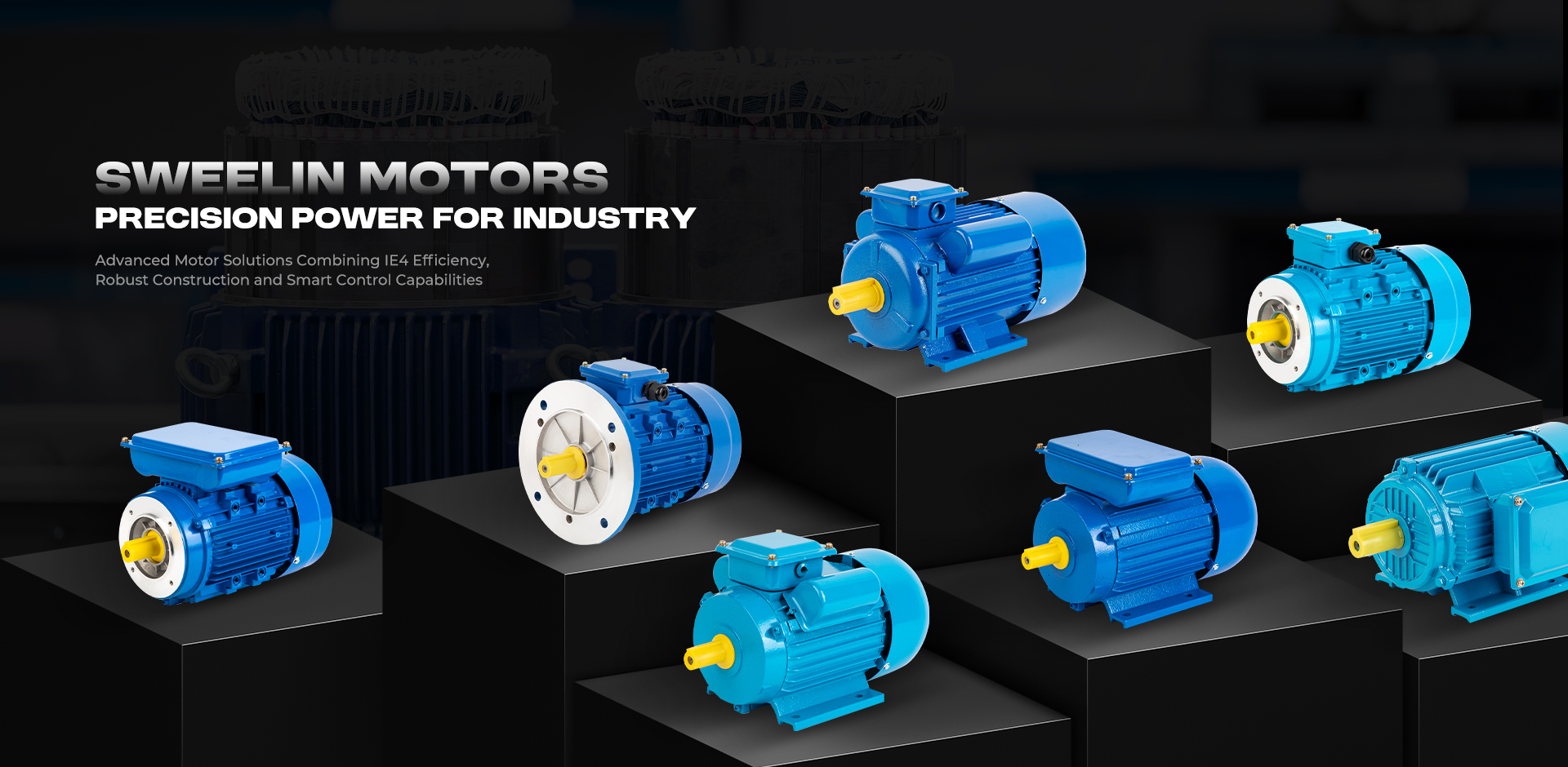 Taizhou Sulin Electromechanical Co., Ltd.