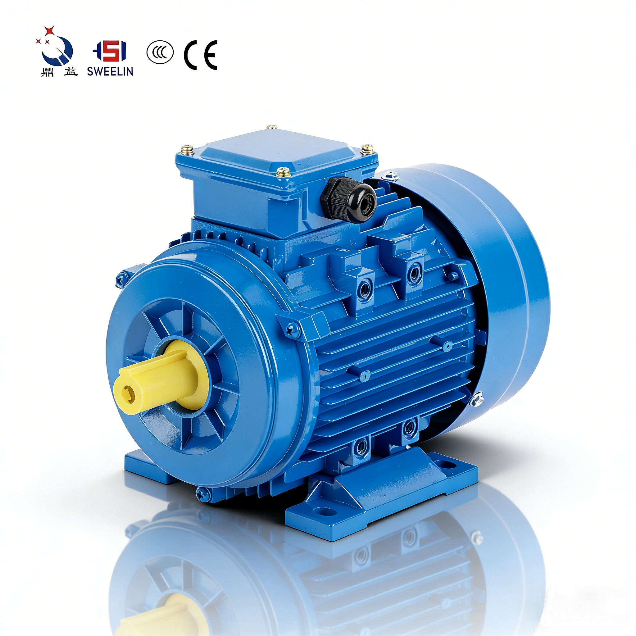 Motor Basics: Understanding the Operating Principles of the Industrial 